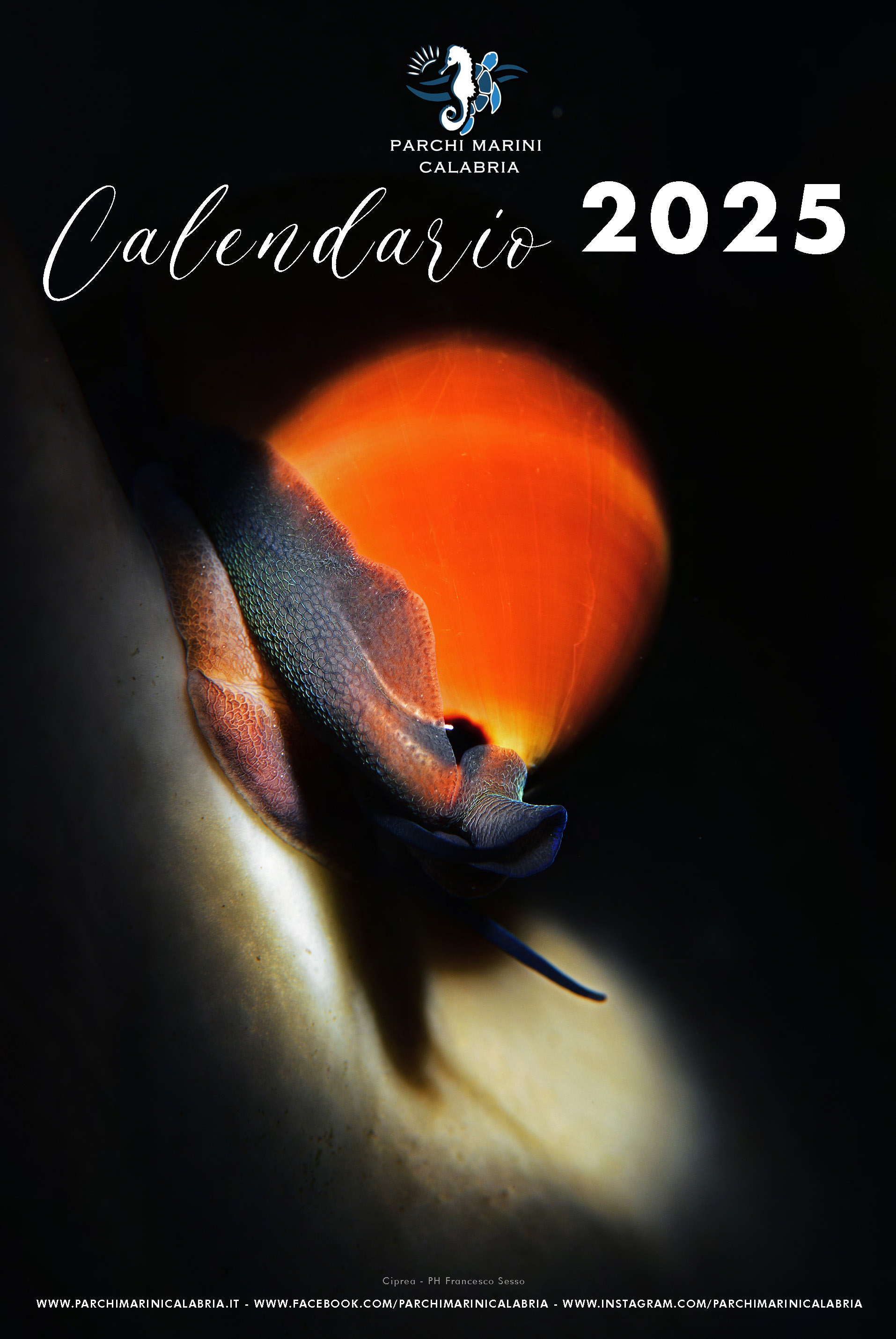 Calendario Parchi Marini Calabria 2025